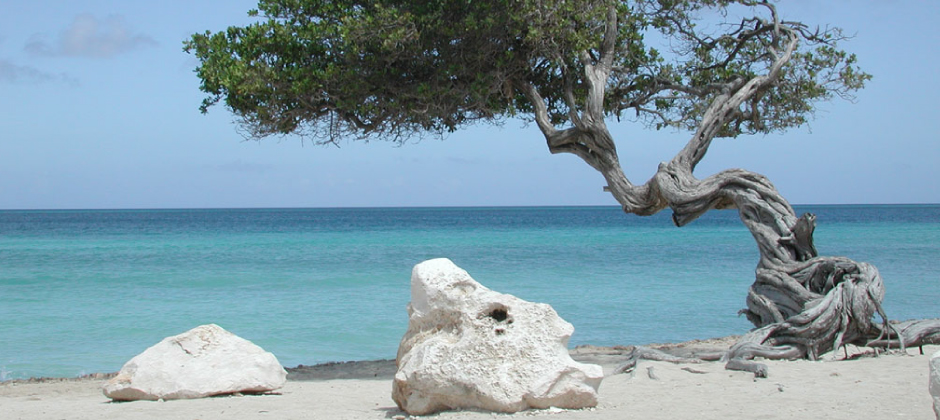 Vicino a spiagge meravigliose